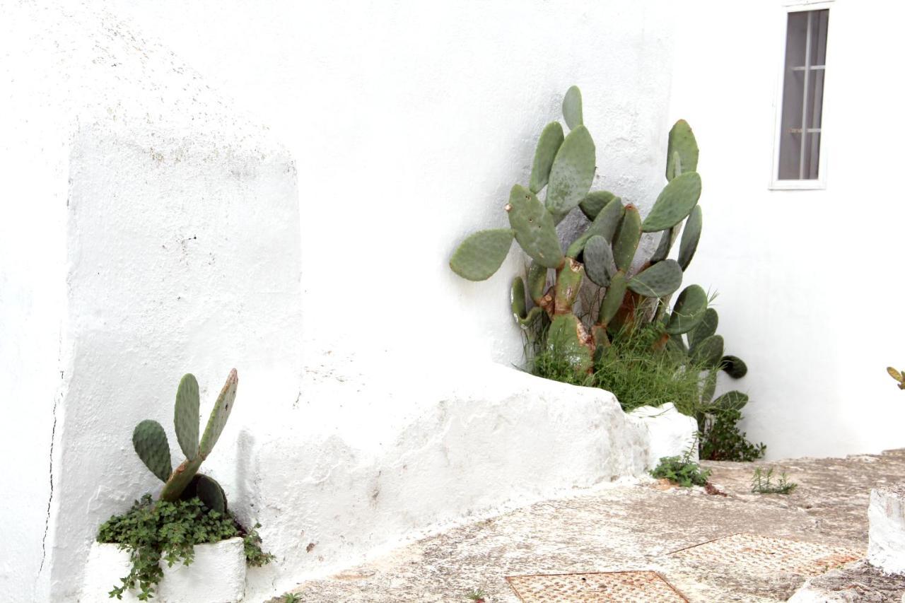 Monolocale Ilporticciolovacanze Villanova di Ostuni Eksteriør bilde